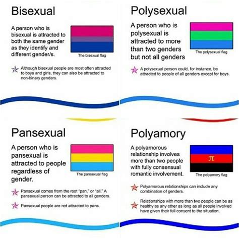 what is the difference between polyamorous and polysexual|Polyamorous Relationships: An Overview